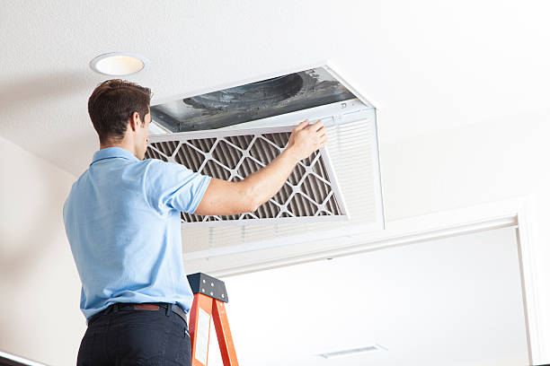 Best HVAC tune-up services  in Temple Hills, MD